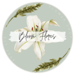 Bloom Flowers